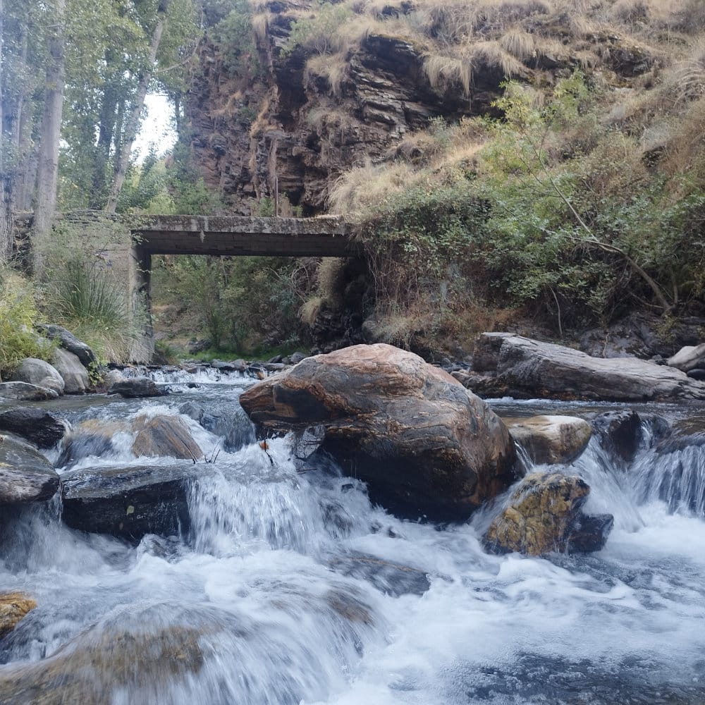 Río Genil entorno Conjunto Los Prados
