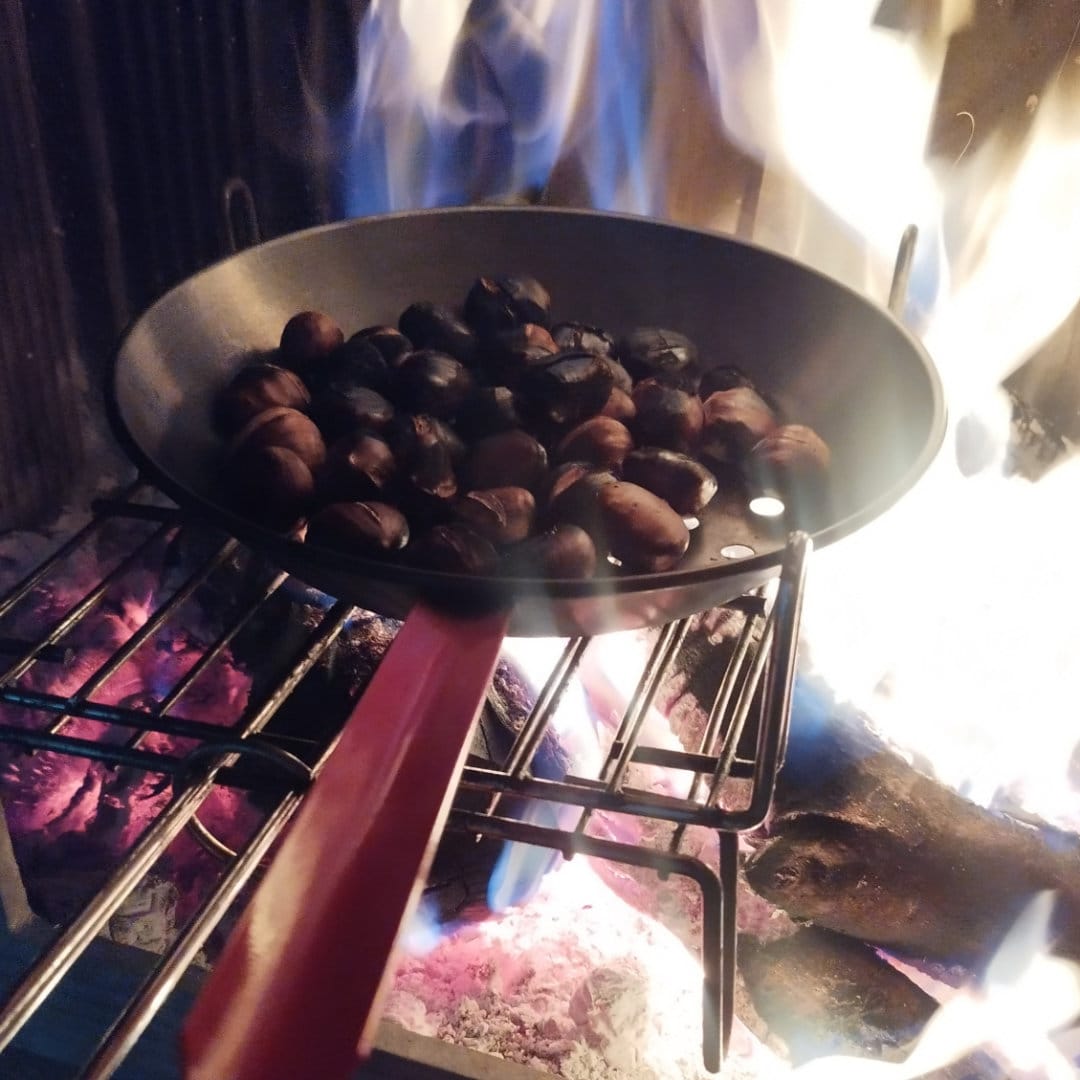 castañas conjunto los prados en invierno 4